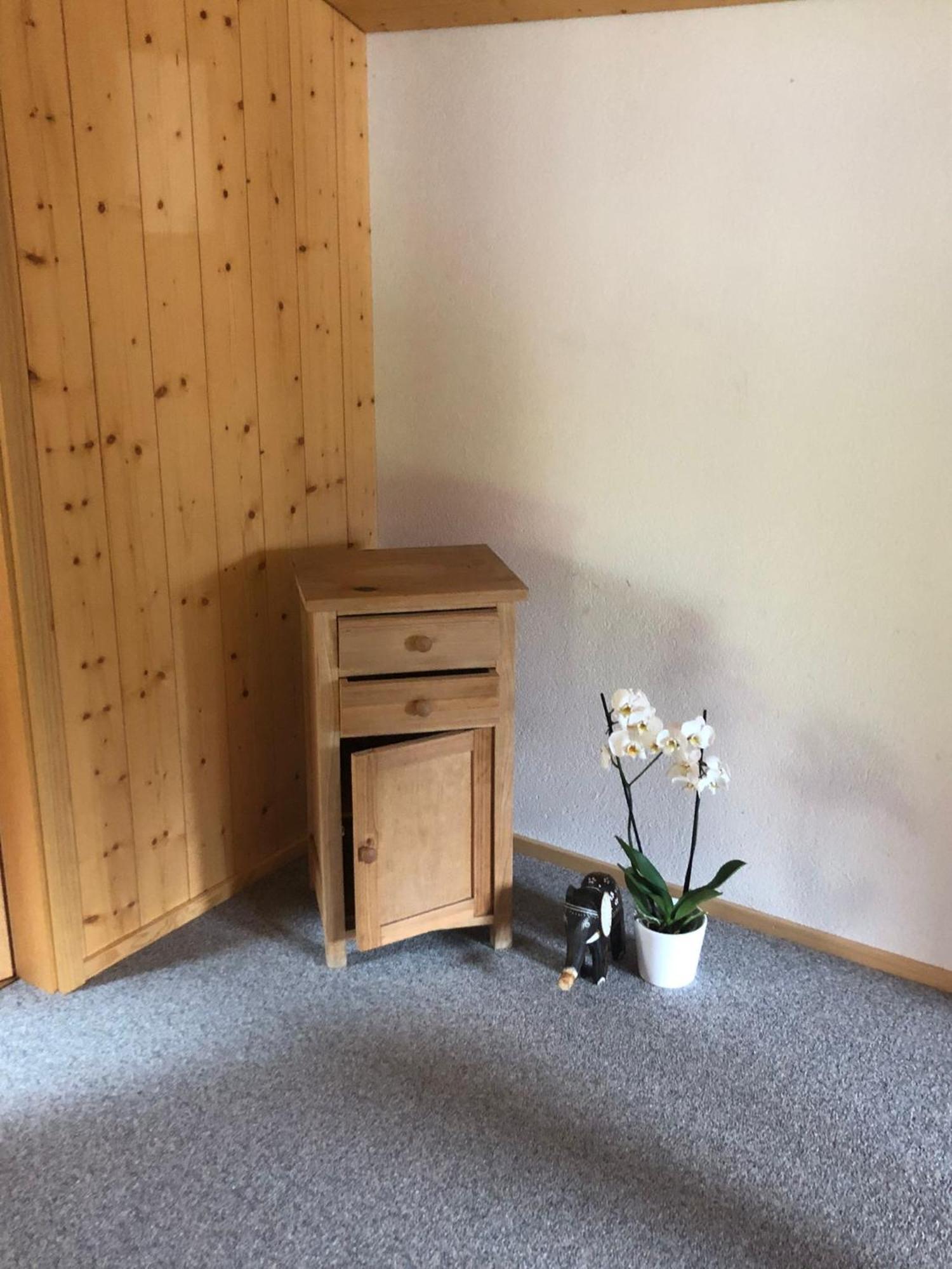 Mountain Oasis Apartment Kandersteg-Adelboden Kandergrund 외부 사진